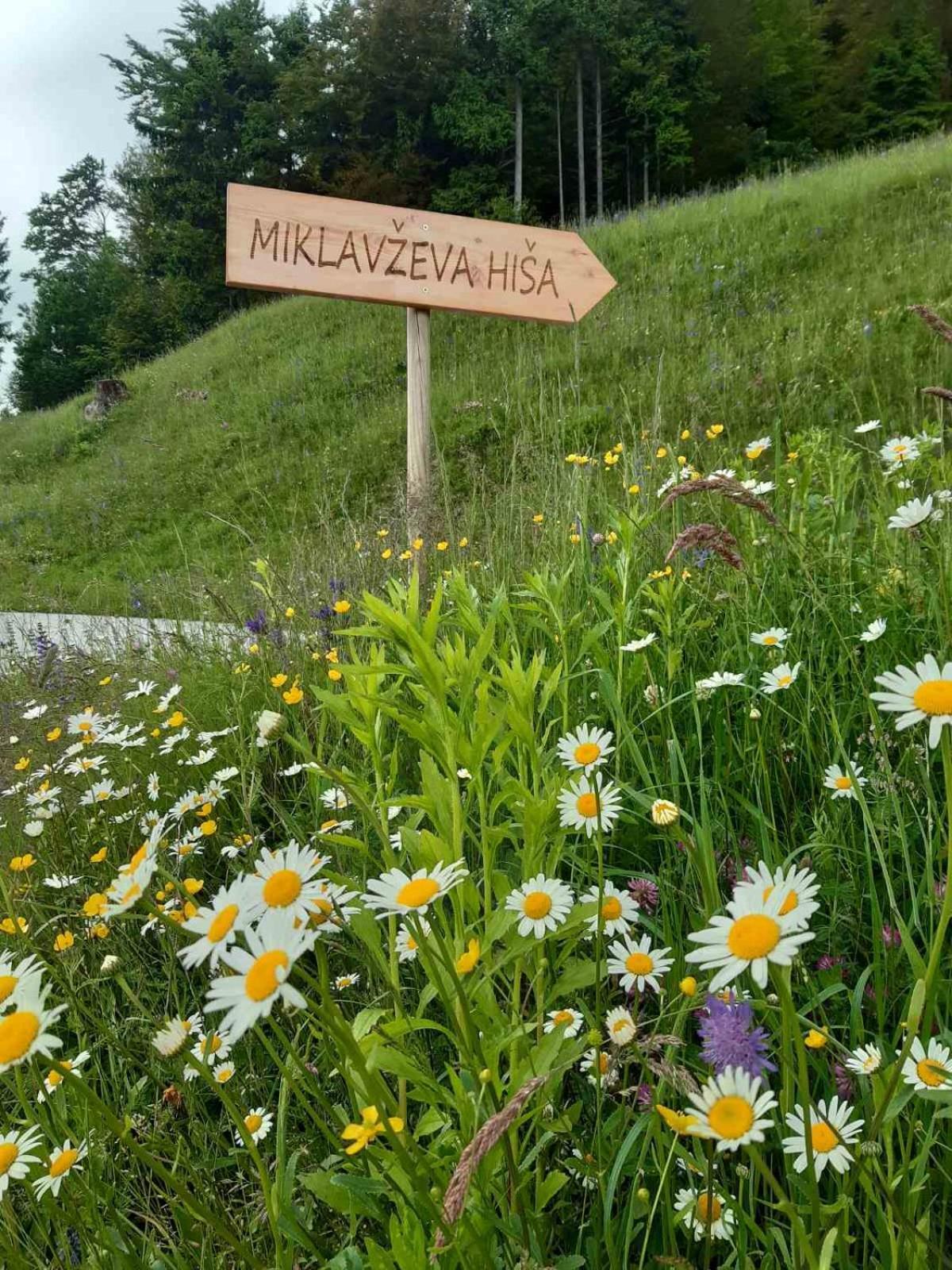 Villa Miklavzeva Hisa With A Bread Oven Zelezniki Exterior foto